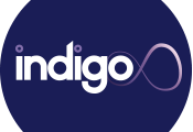 indigo