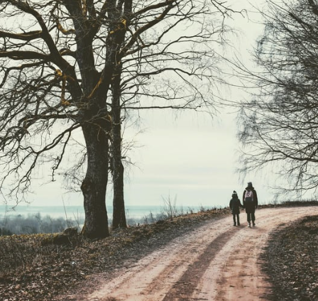 Discover a new Winter walk..