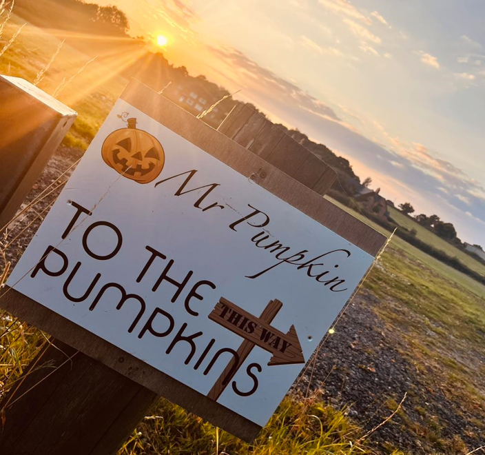 Halloween at Mr Pumpkin..