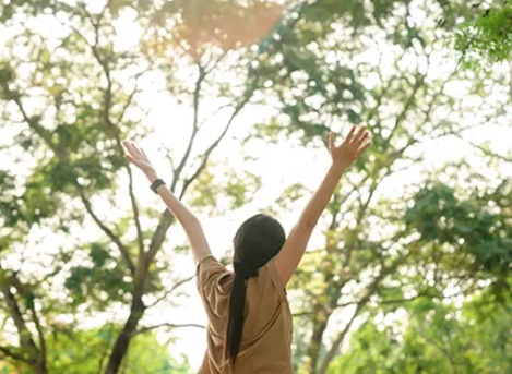 Chatsworth Wellness Event 