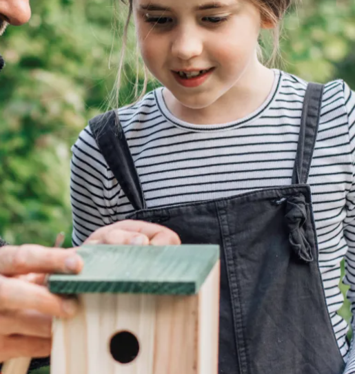 Bus to Peak Village to make Bat Boxes